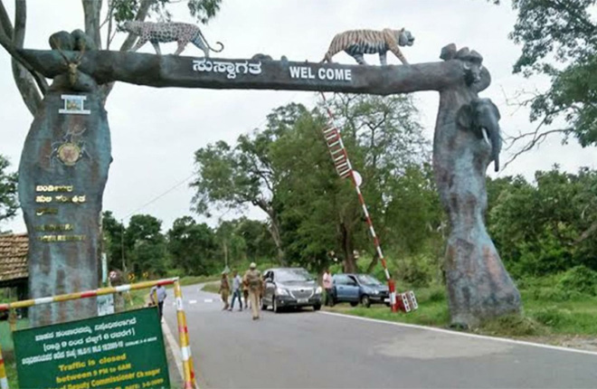 Bandipur National Park, Karnataka