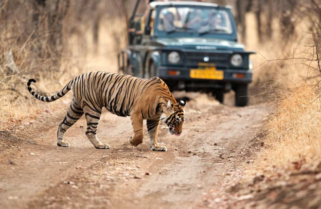 Jim Corbett National Park, Uttarakhand