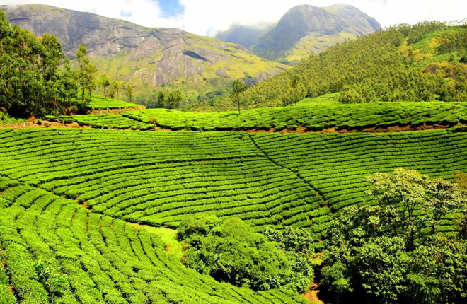 Munnar